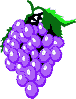 14 - grapes